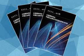 《从蓝图到伟业：中国企业数字化转型的思考与行动》